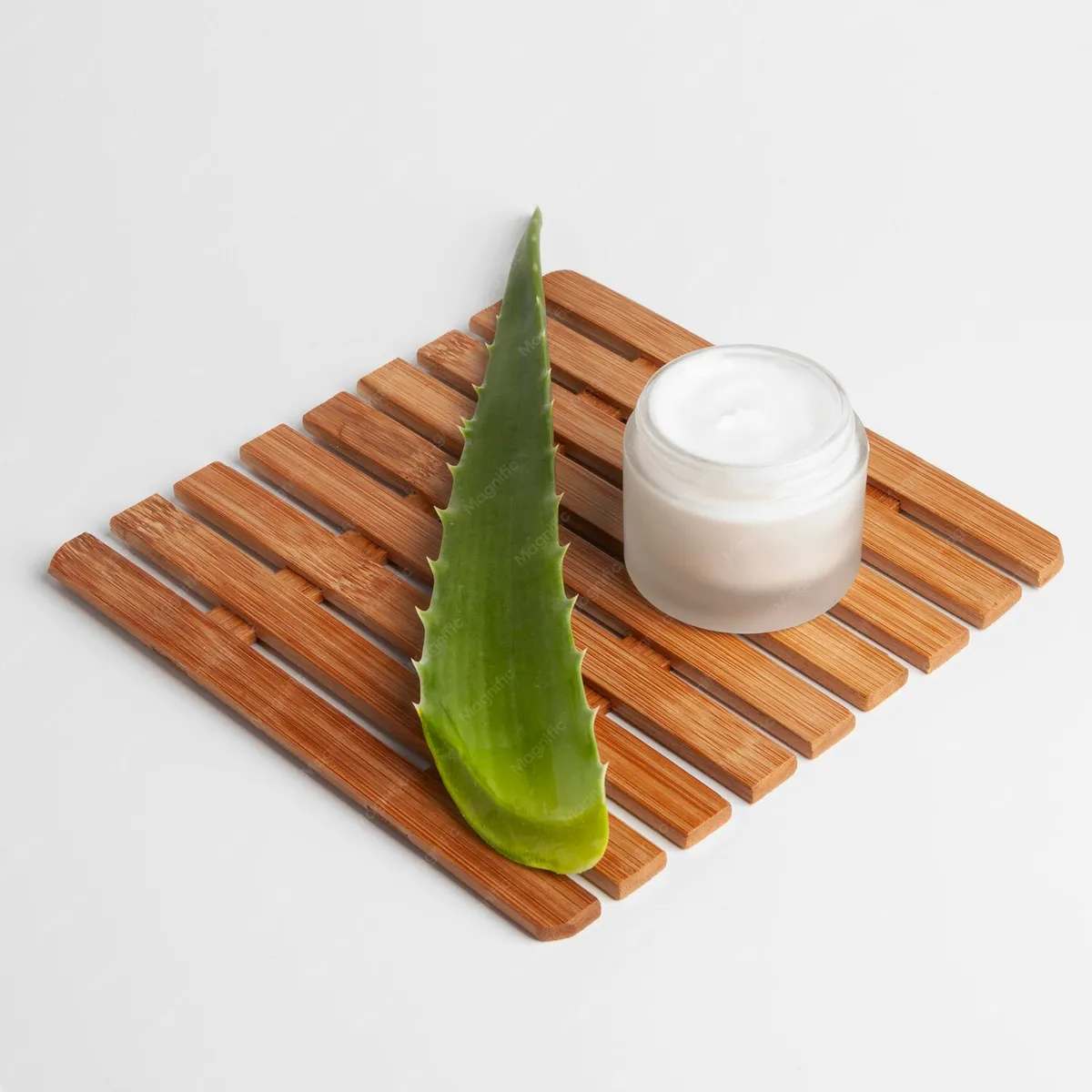 Aloe Vera & Bakuchiol Anti-Aging Cream